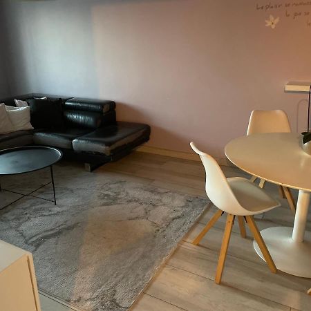 ستراسبورغ Superbe Appartement Avec Place De Parking Gratuit المظهر الخارجي الصورة
