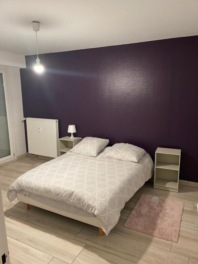 ستراسبورغ Superbe Appartement Avec Place De Parking Gratuit المظهر الخارجي الصورة